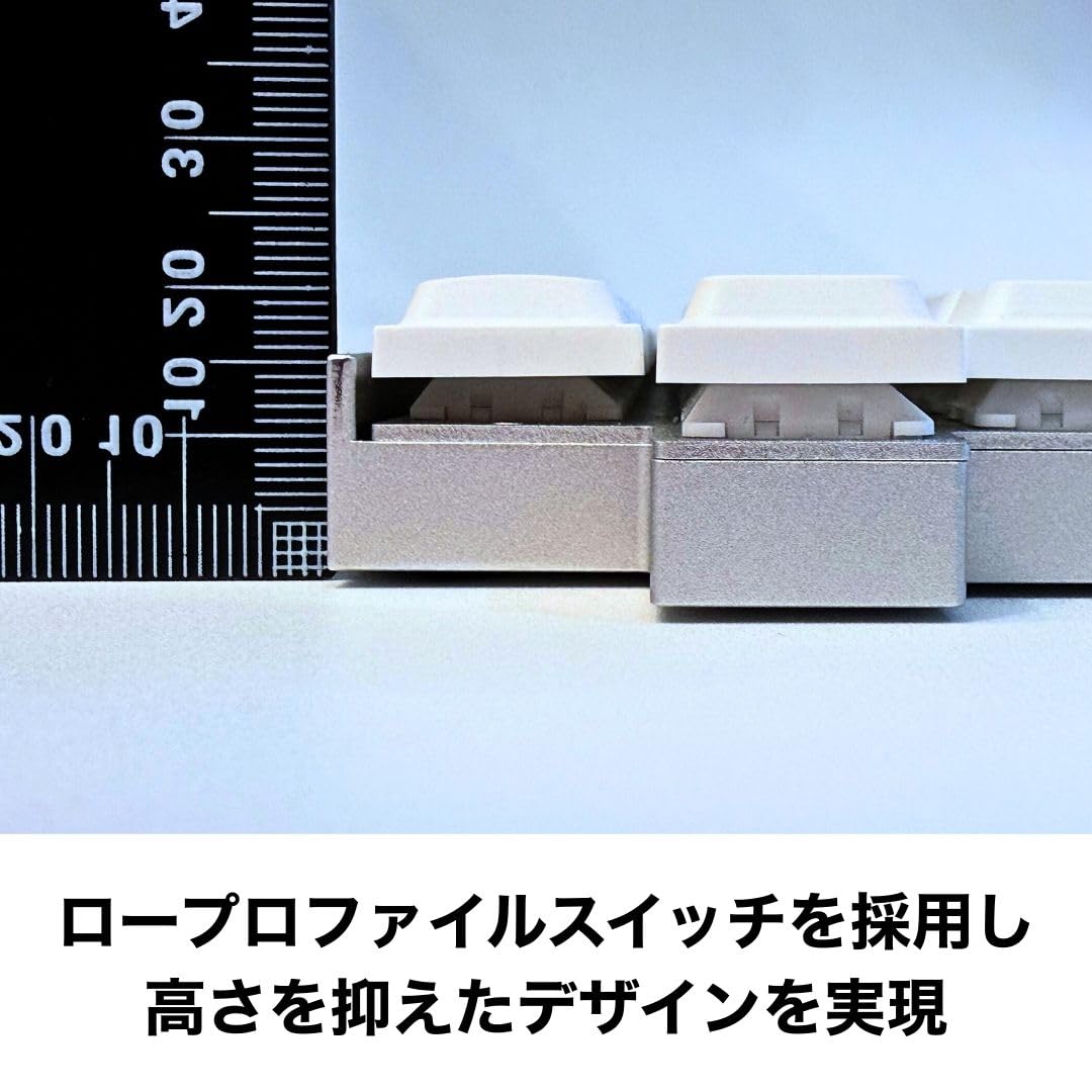 Amazon | ライジュウ NISABI V2 LAK キーキャップ 日本語配列 分割式